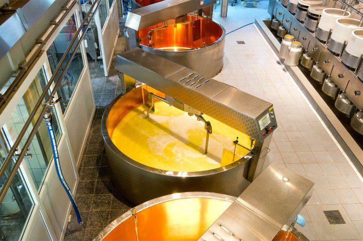 Dairy Processing